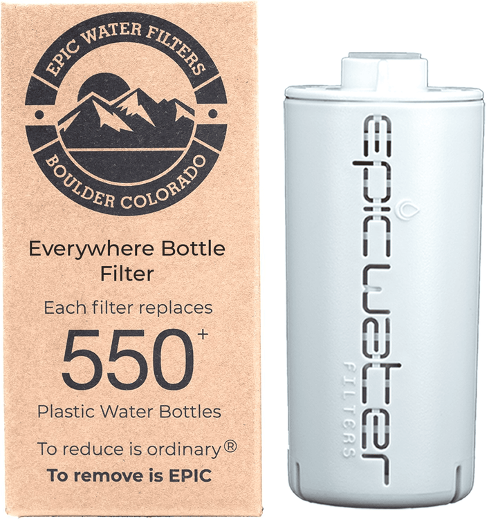 Epic Single Replacement Filter D0